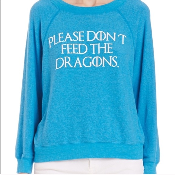 Wildfox Sweaters - Sold Wildfox “Please Dont Feed The 🐉 Dragon”